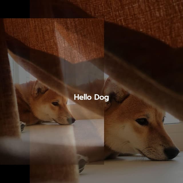 Hello Dog