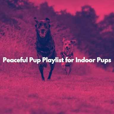 Peaceful Pup Playlist for Indoor Pups