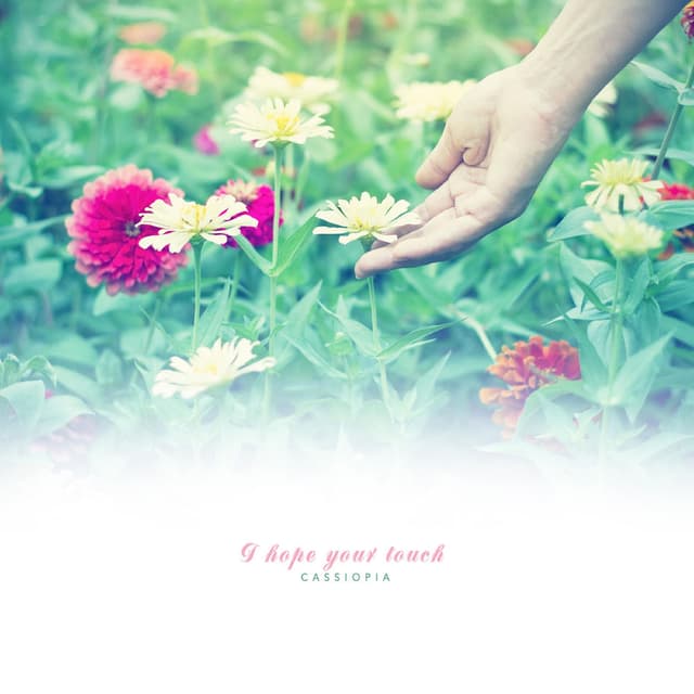 I want your hand.