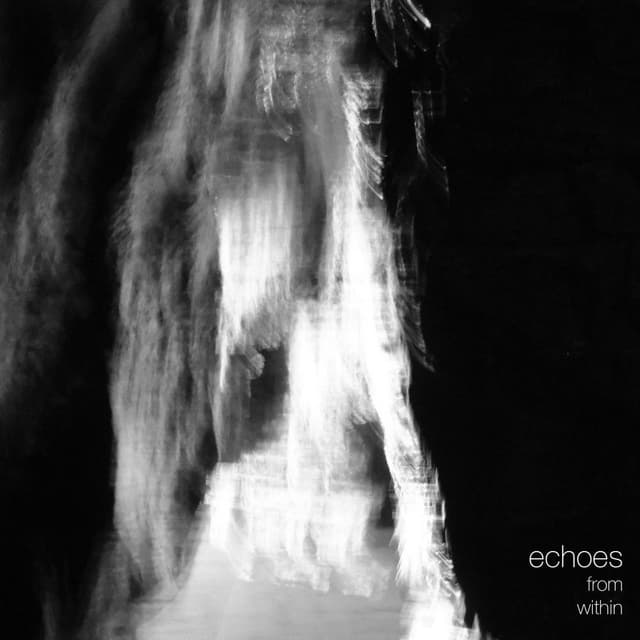 Echoes from Within