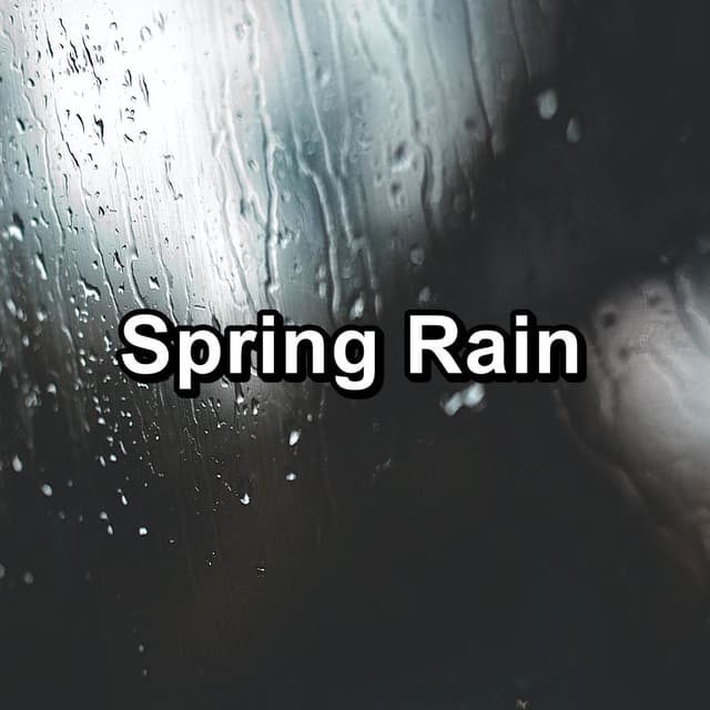 Spring Rain