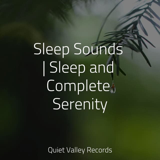 Sleep Sounds | Sleep and Complete Serenity