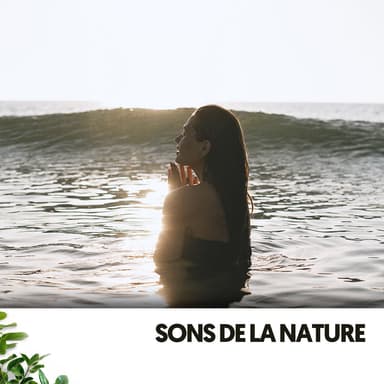 Sons de la Nature : Océan Calme