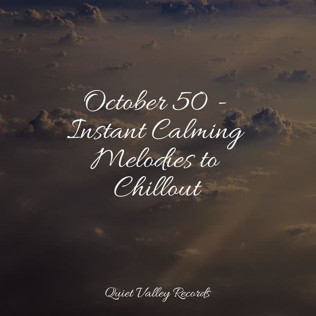 October 50 - Instant Calming Melodies to Chillout