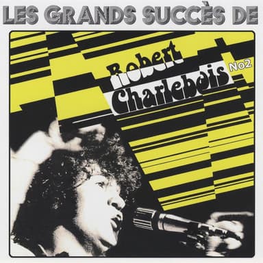 Les grands succès de Robert Charlebois (Vol. 2)