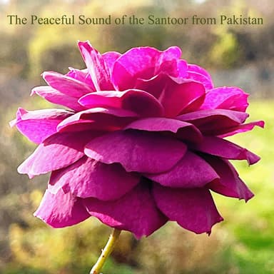 The Peaceful Sound of the Santoor from Pakistan