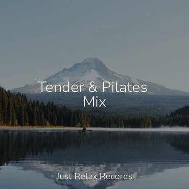 Tender & Pilates Mix
