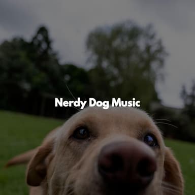 Nerdy Dog Music