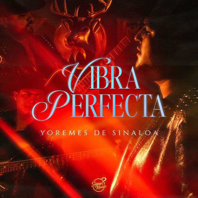 Vibra Perfecta