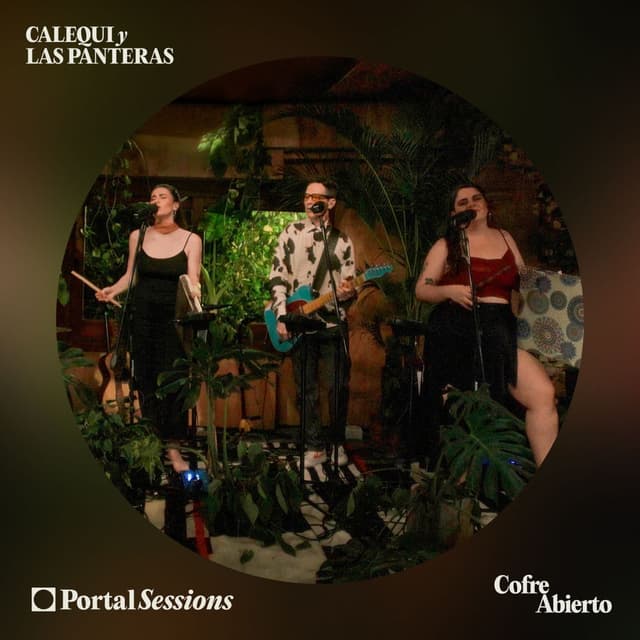 COFRE ABIERTO CALEQUI Y LAS PANTERAS