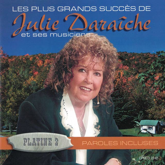 Les grands succès Platine 2