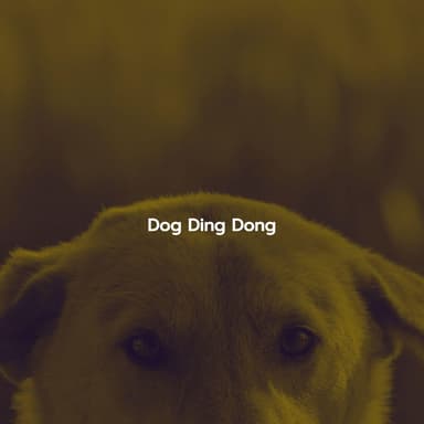 Dog Ding Dong
