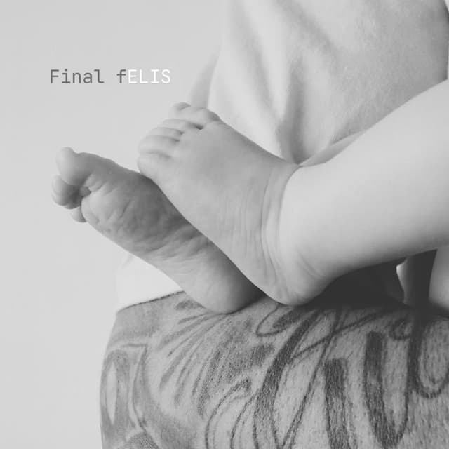 Final fELIS