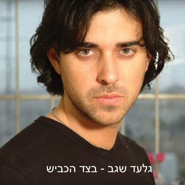 בצד הכביש