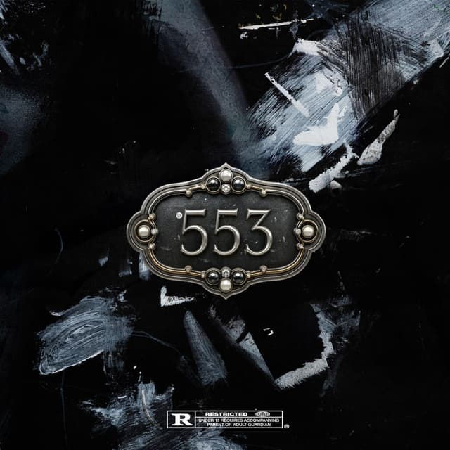 Camera 553