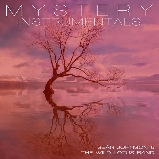 Mystery (Instrumental)