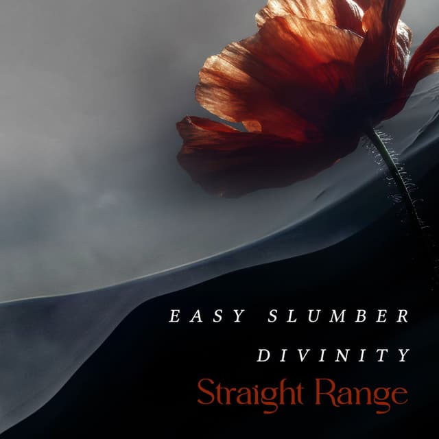Easy Slumber Divinity