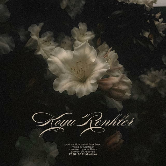 KOYU RENKLER