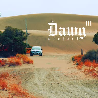 The D.A.W.G. Project 3