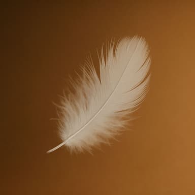 365 Reflections: Lightness of Intention