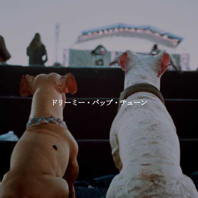 ドリーミー・パップ・チューン