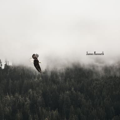 Shadow of the Eagle