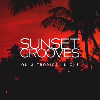 Sunset Grooves On A Tropical Night