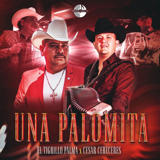 Una Palomita