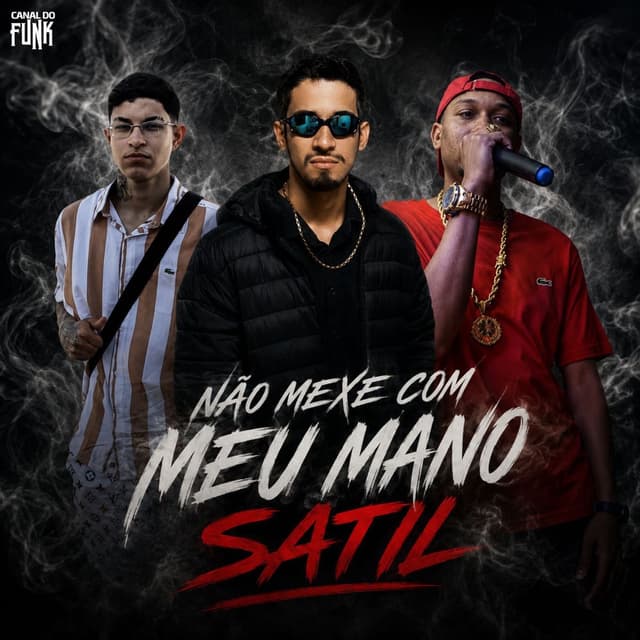 NÃO MEXE COM MEU MANO SATIL