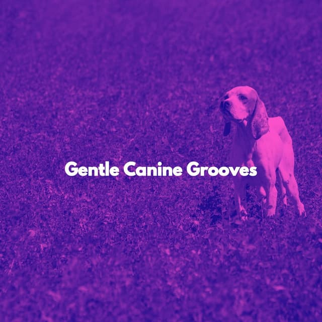 Gentle Canine Grooves