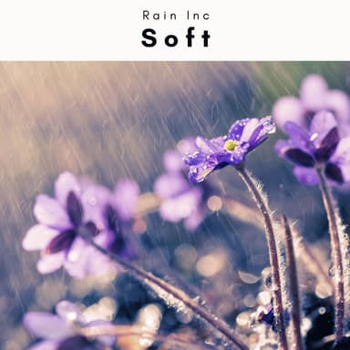2022 Soft