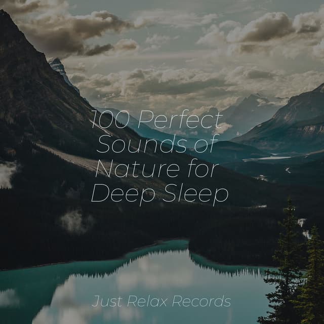 100 Perfect Sounds of Nature for Deep Sleep