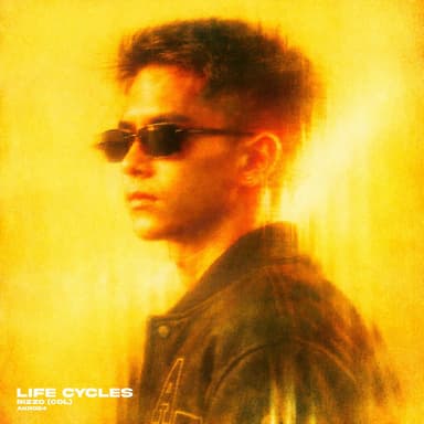 Life Cycles