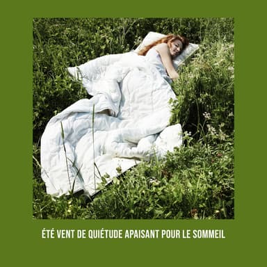 Été vent de quiétude apaisant pour le sommeil: Sommeil profond et calme, Vaincre les troubles du sommeil, Nuits chaudes et fais de