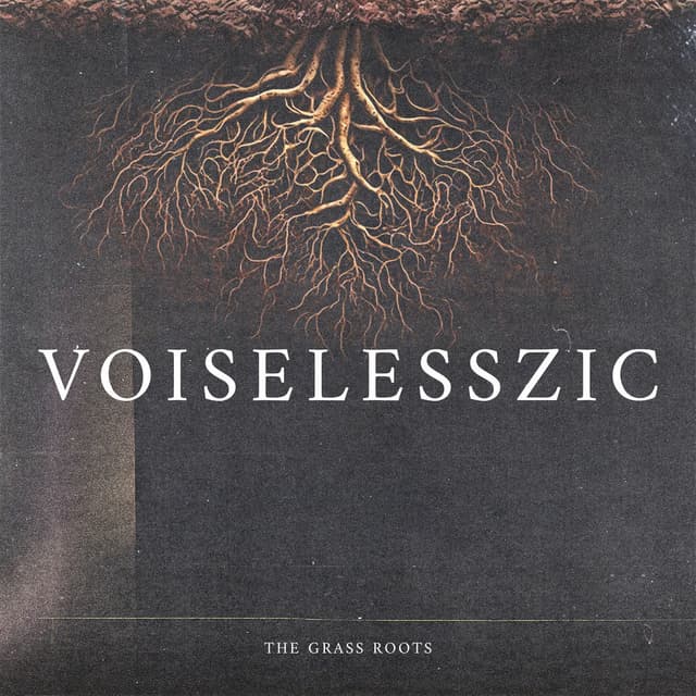 VOISELESSZIC