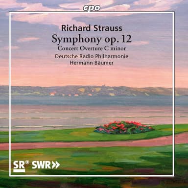 R. Strauss: Symphony No. 2 in F Minor, Op. 12, TrV 126 & Concert Overture in C Minor, TrV 125