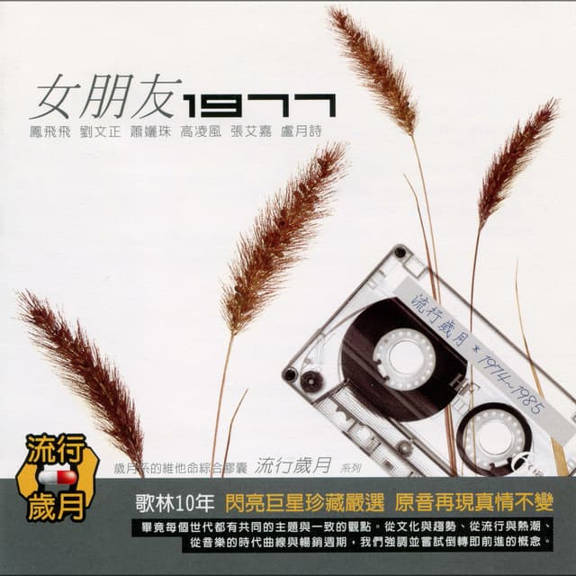 流行歲月系列 歌林10年 女朋友1977