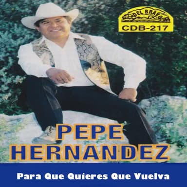 Para Que Quieres Que Vuelva