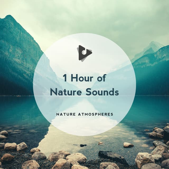 1 Hour of Nature Sounds