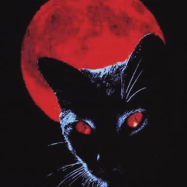 Cats & Feelings