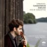 Violin Concerto, Op. 1: I. Allegro energico