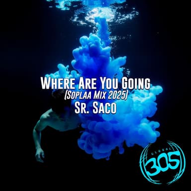 Where Are You Going (Soplaa) (Original Edit Mix)