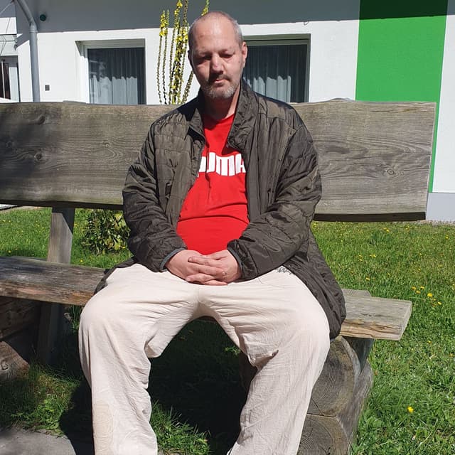 Meine Stimmen