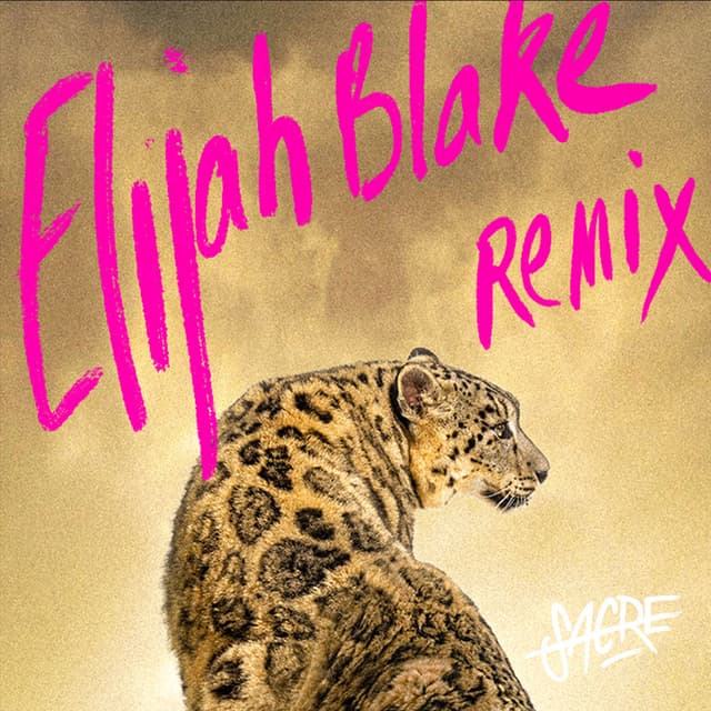 08:00PM JUNGLIZATION (Elijah Blake Rework)