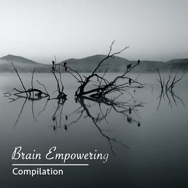 #15 Brain Empowering Compilation for Inner Peace & Meditation