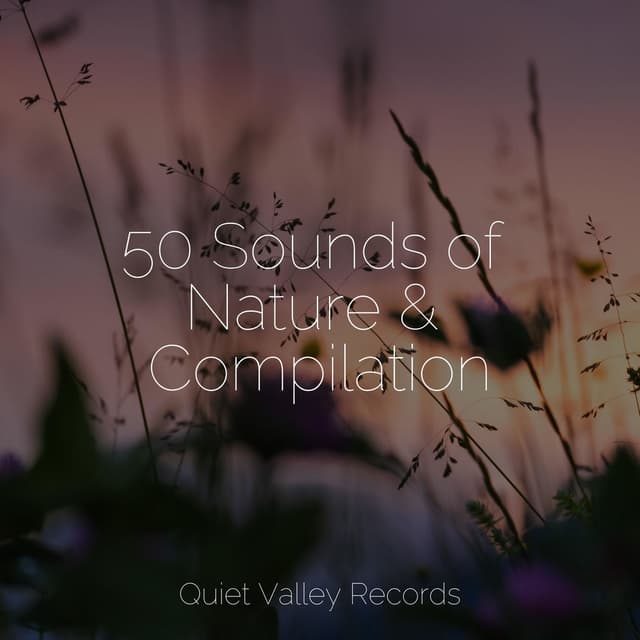 50 Sounds of Nature & Compilation
