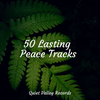 50 Lasting Peace Tracks