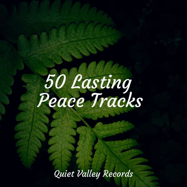 50 Lasting Peace Tracks
