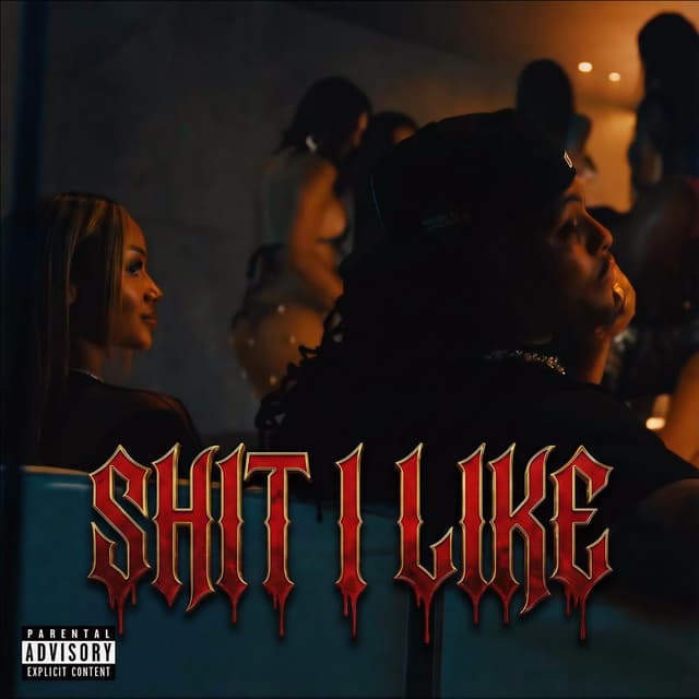 Shit I Like (feat. Trap-A-Holics & DJ Whoo Kid)