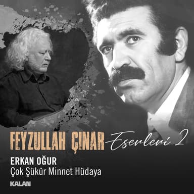 Çok Şükür Minnet Hüdaya (Feyzullah Çınar Eserleri 2)